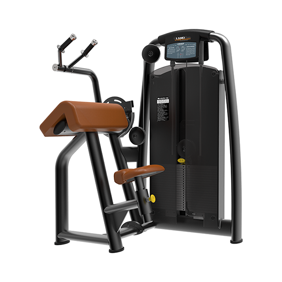 Triceps Extension